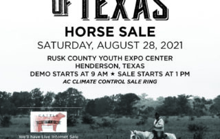 HOrse Sale Weiterman