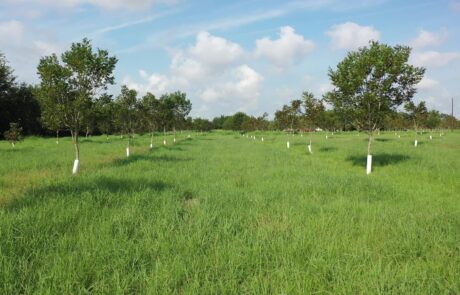 Photos from Video 00028