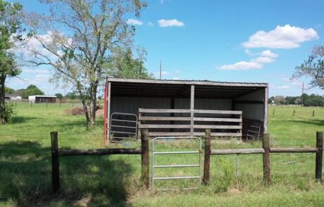 Photos from Video 00021