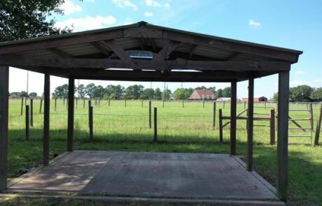 Photos from Video 00022