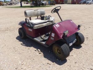 LOT 5689 EZ GO ELECTRIC GOLF CART 3