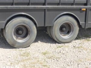 LOT 6130 2009 CIRCLE W 42X8 LIVESTOCK TRAILER 