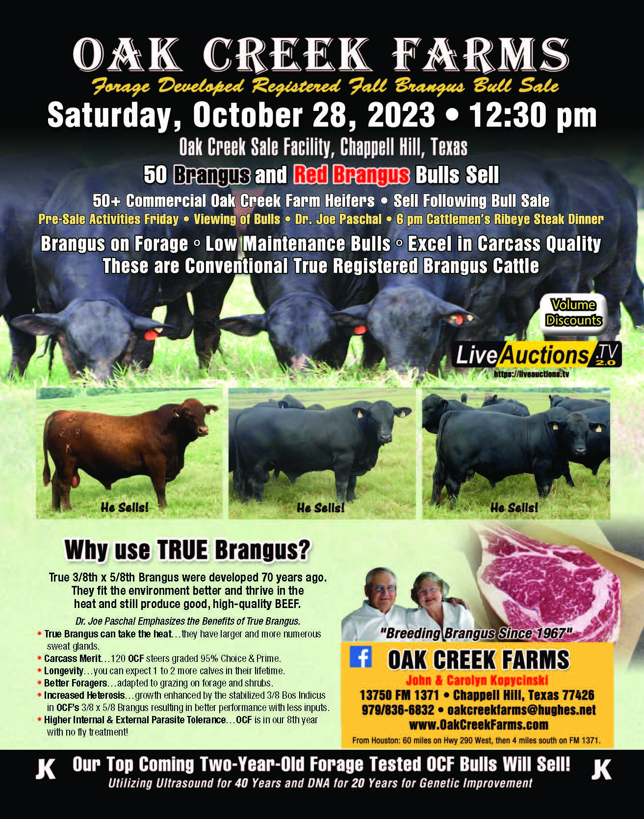 OCF Fall Brangus Cattle Auction 2023